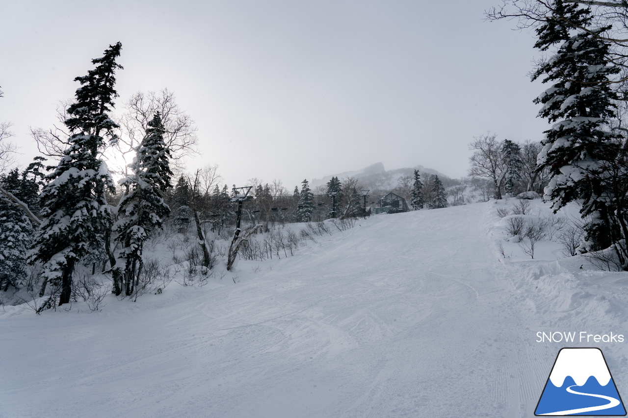 大雪山層雲峡・黒岳ロープウェイスキー場｜北海道ならではの静かな大自然とふわふわのパウダースノーを堪能するなら、のんびり真冬の『黒岳』がおススメです。